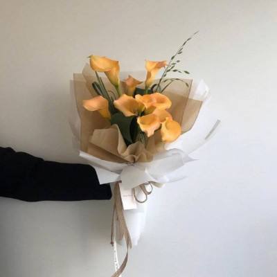 “贞洁是女孩最高贵的嫁妆，堕胎是断祖先血脉”，四川一公交车车身标语引争议
